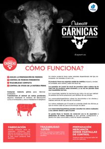 nubea cárnicas-diagram