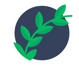 tratamientos_oliveoil