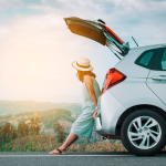 erp-rentcar